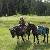 Dawn Borwegen's photo