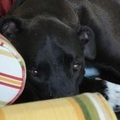 Olivia Bernstein's photo