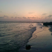 Max Bostwick's photo