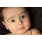 Ginny Tortorici's photo