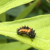 Michelle Trant's photo