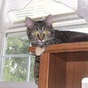 Penny Addison's photo