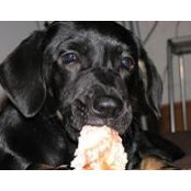 Yolanda Magallanes's photo