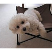 Paula Gralewski's photo