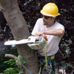 Lopez Tree Services