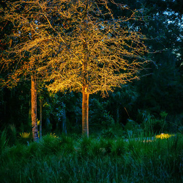 Remark - Palmetto Bluff