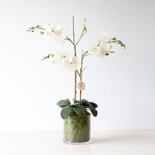 Home Flower Arrangements