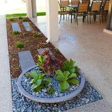 Jardim de inverno