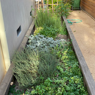 Side yard raised garden