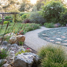Landscape Ideas