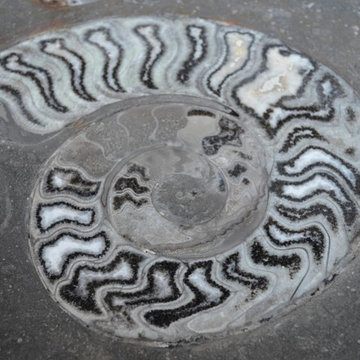 Fossil Marble Table Tops
