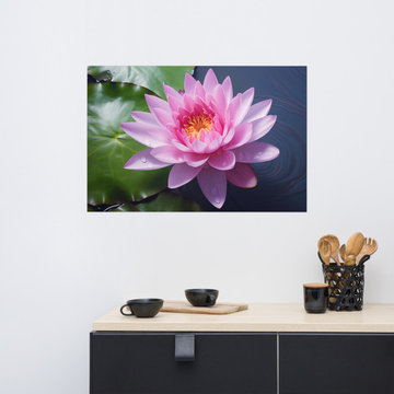 Floating Serenity Illustration Digital Art Loose Print