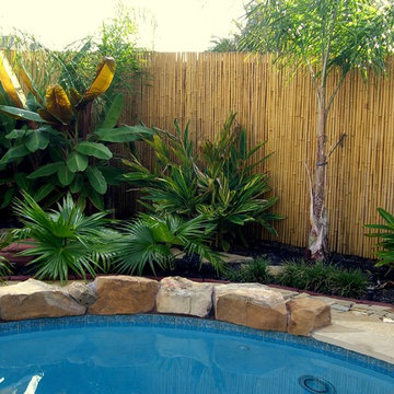 Bamboo Fencing