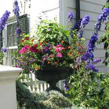 Container Garden