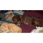 Regina Hickson's photo