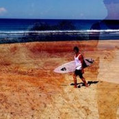 Josh Roberts's photo