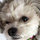 richard_themuister