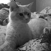 Diane Ferris's photo