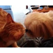 Rachel Wanamaker's photo