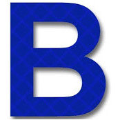 Bernblue Group's photo