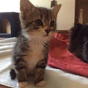 Isabel Diaz's photo