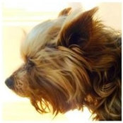 Audrey Hagman's photo