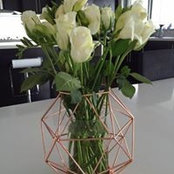 Foto von Sue Haase