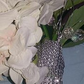 Jacqueline Kelly's photo