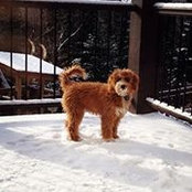 Katherine J. Gervais's photo