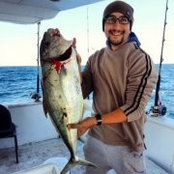 Mohamed Farahat's photo