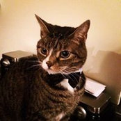 Karen Howells's photo