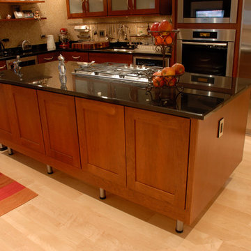 Downtown Chicago Remodel