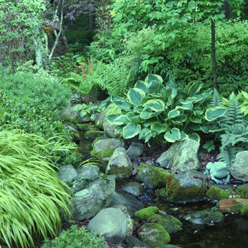 Ponds