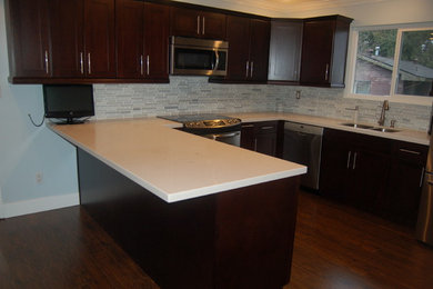 Kitchen - contemporary kitchen idea in Vancouver