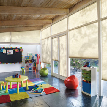 Hunter Douglas Duette® Honeycomb Shade