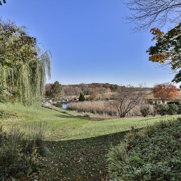 Backyard View