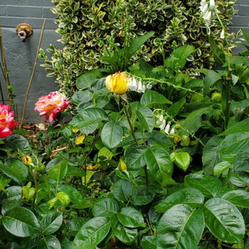 gardens