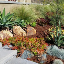 Quiet Trail Garden