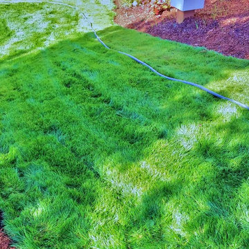 Mission Impossible MakeOver! Specimen Trees & Patio Down Extreme Slope