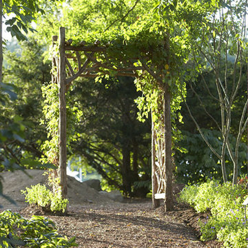 Enchanted Woodland at Wilson Point