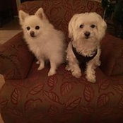 Kim Smith's photo