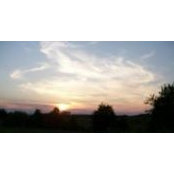Michelle Pitts's photo