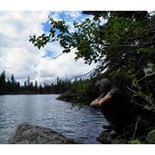 Justin Sansom's photo