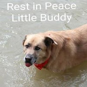Patricia Lyle's photo