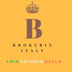 BROKERIX ITALY  by  MR  AMIN GALLO