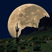 Rob Harkema's photo