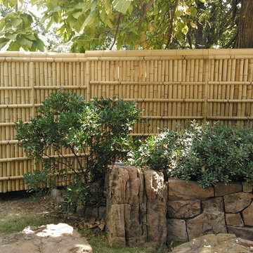 Natural Bamboo Poles