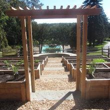 Vegetable Garden Ideas
