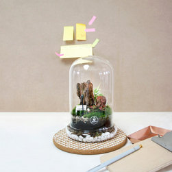 Terrarium in shapes - Products