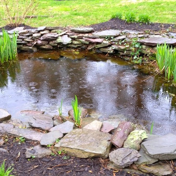 Water Features